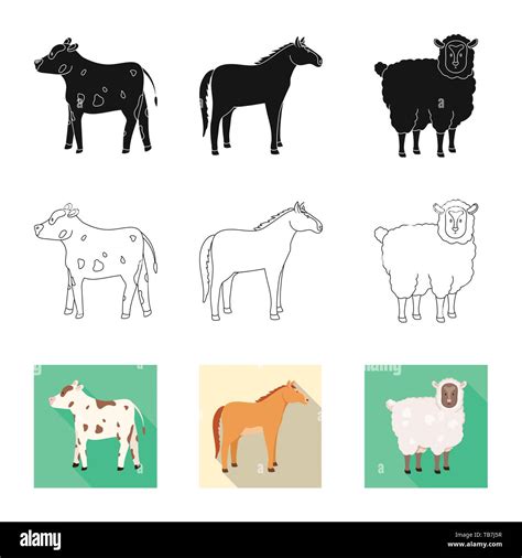 Calf Rearing Stock Vector Images Alamy