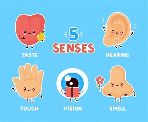 Cartel De Cinco Sentidos Página De Presentación De Touch Sense Para