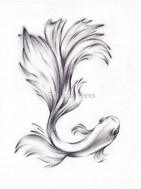 Bathing Beauty Charcoal Pencil Drawing Of A Betta Fighting Fish
