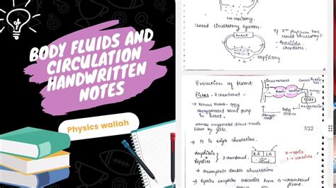 Body Fluids And Circulation Handwritten Notes Human Physiology Neet