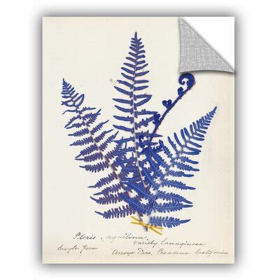 Maybe you would like to learn more about one of these? Andover Mills™ Botanical Fern IV Wall Decal | Wayfair