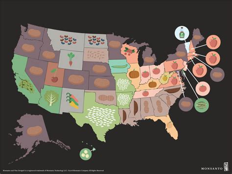 Main Crops Grown in each State of the United States of America | by ...