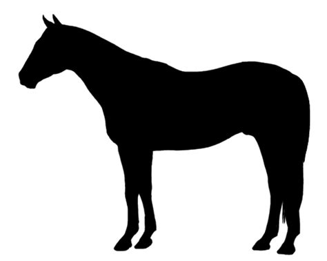 Thoroughbred Horse Silhouette Thoroughbred Derby Horses Stencils