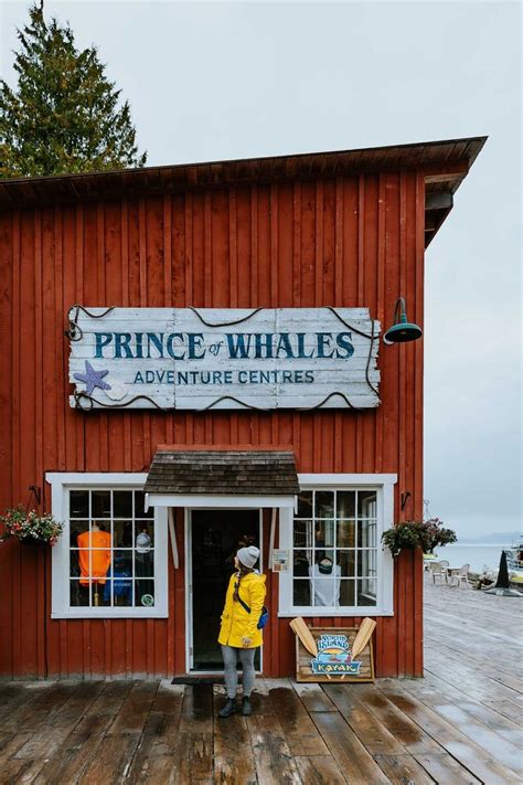 Telegraph Cove Whale Watching Prince Of Whales Tours Xoxobella