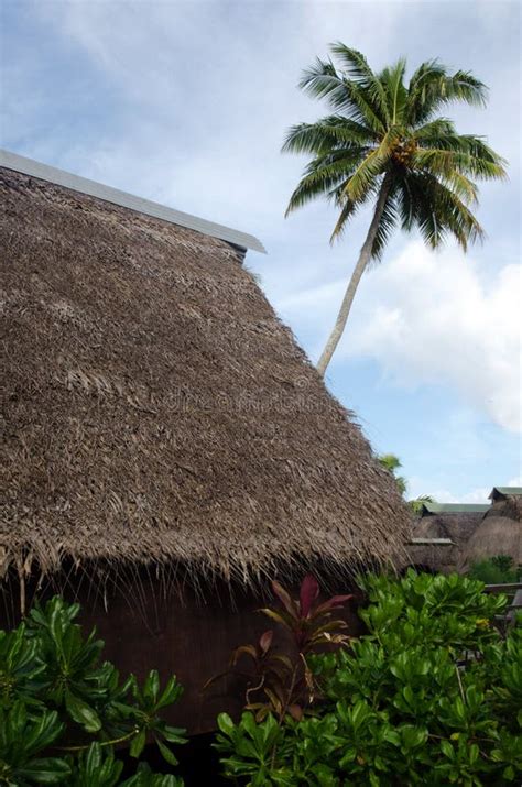 Traditional Polynesian Houses In Aitutaki Lagoon Cook Islands Stock
