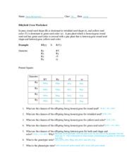 A cyclops that is dihybrid practice problems 1. Collection of Dihybrid Crosses Worksheet - Bluegreenish