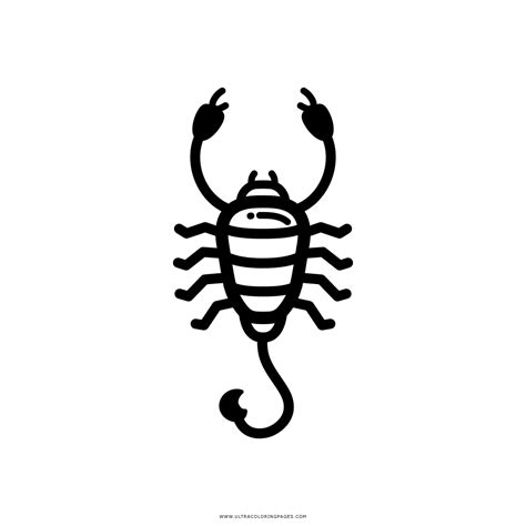 Alacran Para Dibujar Dibujos Escorpiones A Lapiz Escorpión
