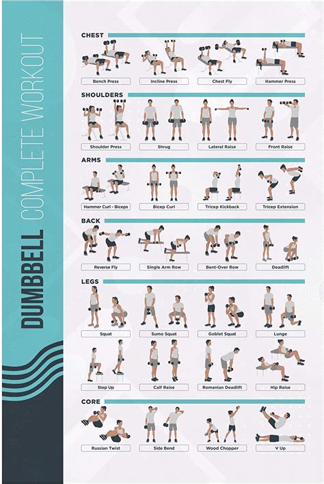Fitmate Dumbbell Workout Exercise Poster Workout Routine With Free
