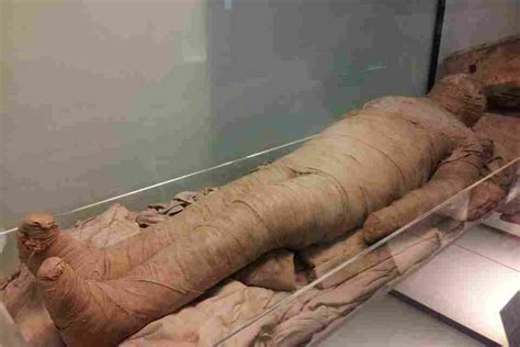 Mummification Why Did The Ancient Egyptians Embalm Their Dead