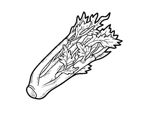 100% free vegetables coloring pages. A celery coloring page - Coloringcrew.com