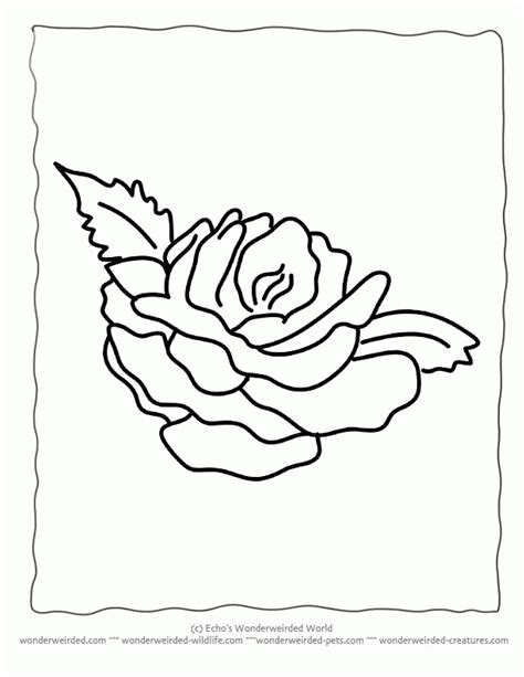 A big flower to customize. Realistic Flower - Coloring Home