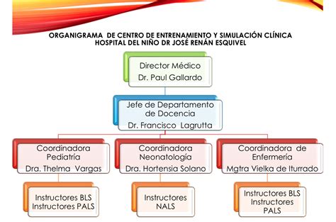 Organigrama Del Centro De Entrenamiento Y Simulación Clínica Hospital