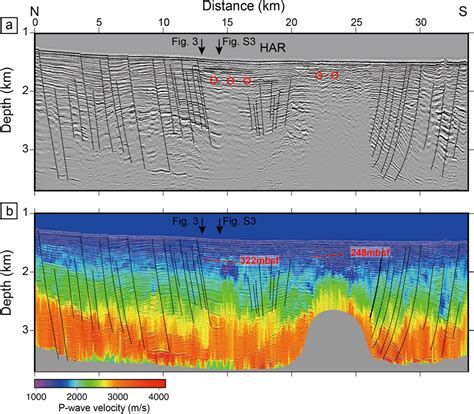 Seismic Profile And P Wave Velocity Structure Of A Ns Seismic Line