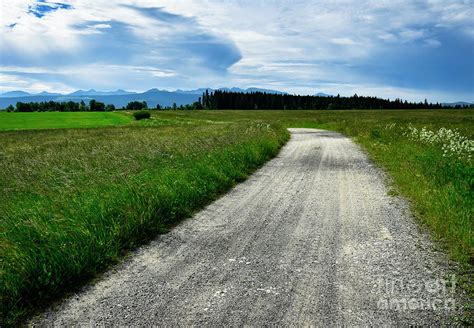 By A Field Road To A Nearby Forest Photograph By Jozef Jankola Fine