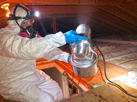 Our Mold Removal Services Previous Roof Leak Causes Mold In Attic In Allenwood Nj On The