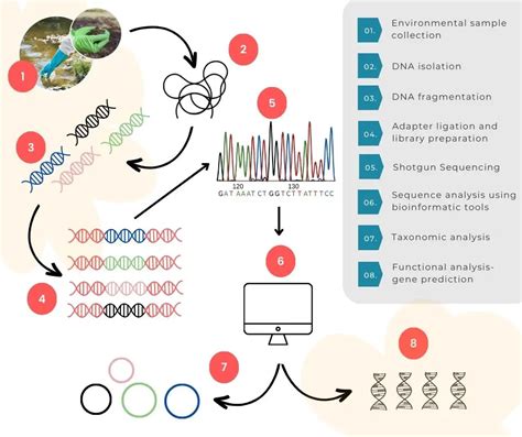 What Is Metagenomics Definition Steps Process And Applications