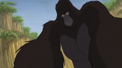 A Gorilla Standing Next To Another Gorilla In A Forest