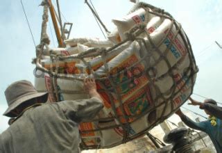 Bongkar Muat Beras Di Pelabuhan Sunda Kelapa Jakarta Datatempo