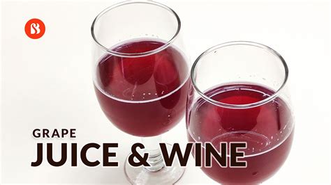 Make Your Own Grape Wine And Juice In 2 Weeks Super Easy Recipe 🍷