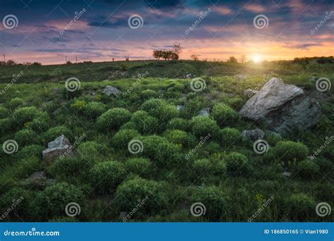 Majestic Summer Sunset In A Ukrainian Steppe Stock Image Image Of
