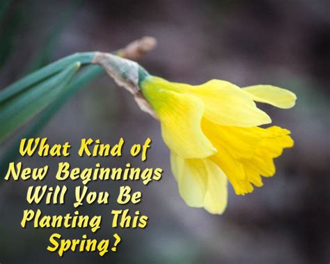 What New Beginnings Will You Be Planting This Spring New Beginnings