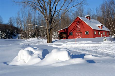 27 Must Do Winter Preparation Chores For Your Homestead Off The Grid News