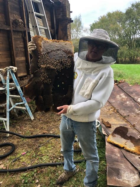 Mark The Bee Guy Bee Management And Woodworking