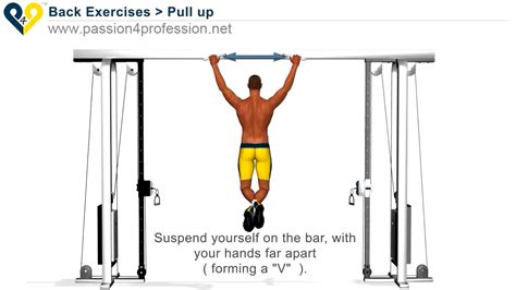 How To Do Proper Pull Ups Youtube