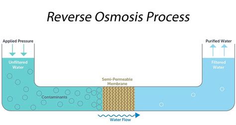 Reverse osmosis, or ro, is just one type of filtration that can be used in water purification systems, both at home and in a commercial setting. Is reverse osmosis water healthy for the human body ...