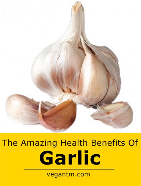 the health benefits of garlic dan330