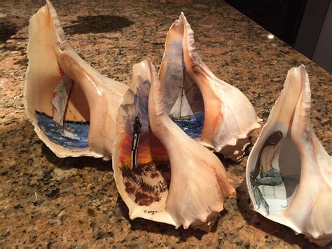 20 Conch Shell Craft Ideas