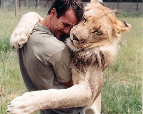 Man Hugging Lion Catholic Concern For Animals
