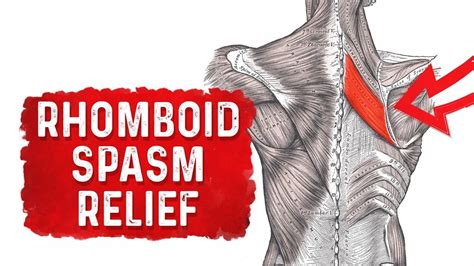 Rhomboid Spasm Pain Relief Treatment By Dr Berg Youtube