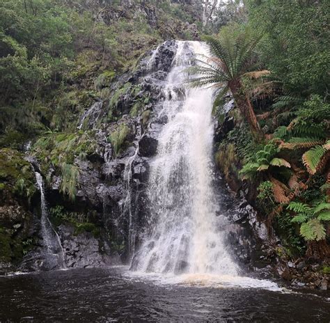 Top 10 Waterfalls In Tasmania Love Nature