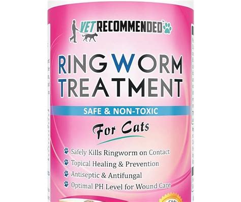 Ringworm Treatment For Cats Over The Counter Cat Meme Stock Pictures