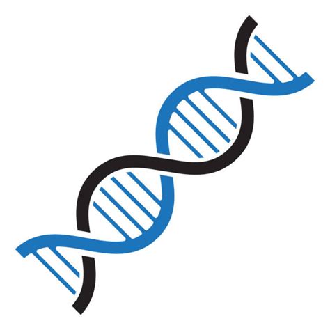 Dna Illustrations Royalty Free Vector Graphics And Clip Art Istock