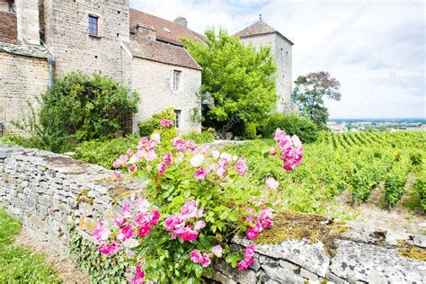 Gevrey Chambertin Castle Cote De Nuits Burgundy France Stock Photo