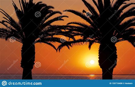 Palm Trees At A Beach On The Background Of A Beautiful Red Sunset And