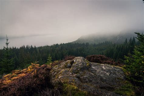 Farigaig Forest In Mist Photograph By Chris Dale Pixels