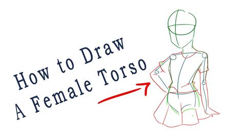 How To Draw A Female Torso Youtube