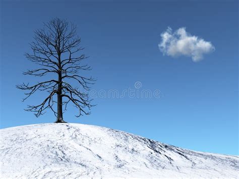 Winter Tree On A Snowy Hill Stock Illustration Illustration Of Blue
