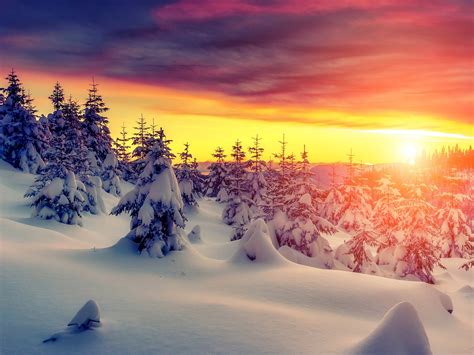 Wallpaper Sunset Snow Trees Winter Red Sky Clouds