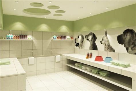 Love The Clean Lines And Calm Green Color Dog Grooming Shop Dog