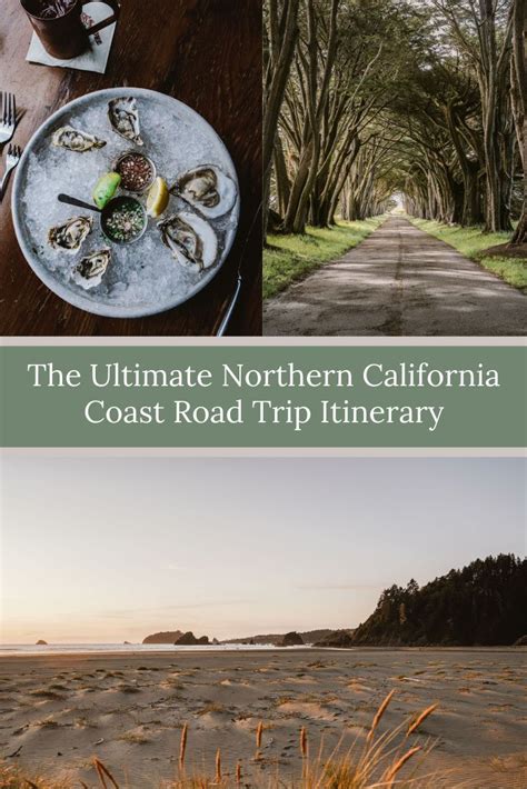 The Ultimate Northern California Coast Road Trip Itinerary Bon