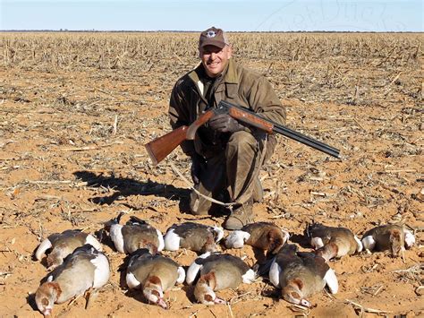 South Africa Goose Hunting Ramsey Russells