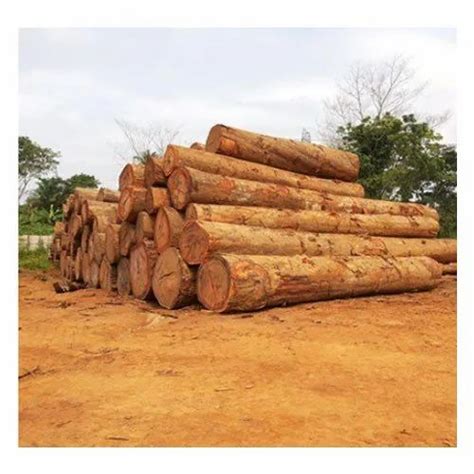 Teak Wood Logs In Delhi सागौन लकड़ी का लॉग दिल्ली Delhi Get Latest Price From Suppliers Of