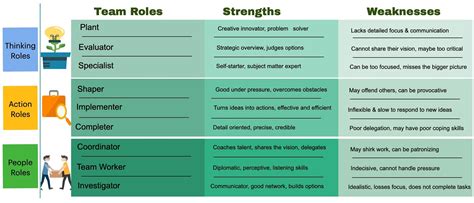 Managing Team Diversity Using Role And Behavior Models
