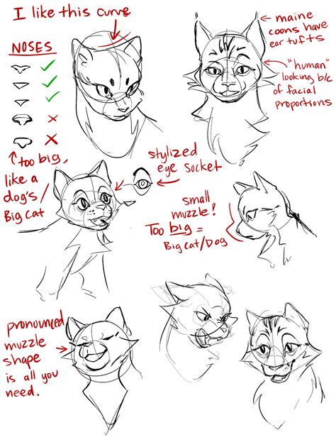 How To Draw Warrior Cats Step By Step At Drawing Tutorials