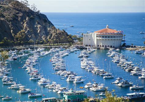 Catalina Island Company Reopens Hotels Tours Dining And Camping