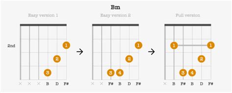 bm guitar chord easy three b minor chord forms to